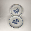 (2) PFALTZGRAFF Yorktowne Salad Plates USA 6-3/4" Modern Stamp Stoneware